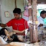CNVR Procedure in Bangalore
