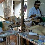 CNVR Procedure in Bangalore