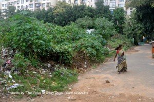 Here comes the lady after the door-to-door garbage collection to dump garbage here. The building in the background is Diamond District