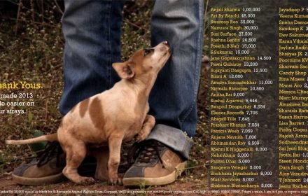 Thank you from the dogs that you helped