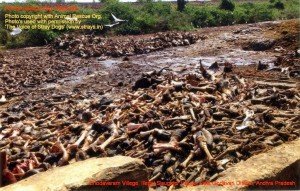 Chodavaram village illegal slaughter house East Godavari District (AP, India): Illegal slaughter in India. Pictures © Animal Rescue Org. Kakinada. Used with permission by 'The Voice of Stray dogs' (www.strays.in)