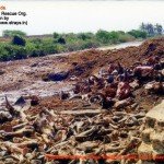 Chodavaram village illegal slaughter house East Godavari District (AP, India): Illegal slaughter in India. Pictures © Animal Rescue Org. Kakinada. Used with permission by 'The Voice of Stray dogs' (www.strays.in)