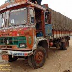 Cows illegally transported for slaughter, now at SPCA Kakinada.(AP, India): Illegal slaughter in India. Pictures © Animal Rescue Org. Kakinada. Used with permission by 'The Voice of Stray dogs' (www.strays.in)