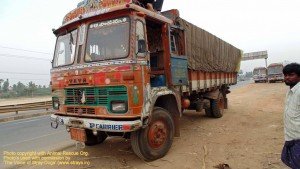 Cows illegally transported for slaughter, now at SPCA Kakinada.(AP, India): Illegal slaughter in India. Pictures © Animal Rescue Org. Kakinada. Used with permission by 'The Voice of Stray dogs' (www.strays.in)