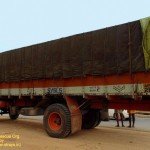 Cows illegally transported for slaughter, now at SPCA Kakinada.(AP, India): Illegal slaughter in India. Pictures © Animal Rescue Org. Kakinada. Used with permission by 'The Voice of Stray dogs' (www.strays.in)