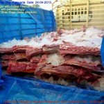 Municipal Slaughter House, Pithapuram, East Godavari District (AP, India): Illegal slaughter in India. Pictures © Animal Rescue Org. Kakinada. Used with permission by 'The Voice of Stray dogs' (www.strays.in)