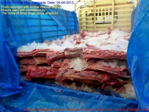 Municipal Slaughter House, Pithapuram, East Godavari District (AP, India): Illegal slaughter in India. Pictures © Animal Rescue Org. Kakinada. Used with permission by 'The Voice of Stray dogs' (www.strays.in)