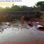 Municipal Slaughter House, Pithapuram, East Godavari District (AP, India): Illegal slaughter in India. Pictures © Animal Rescue Org. Kakinada. Used with permission by 'The Voice of Stray dogs' (www.strays.in)