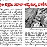 Cows illegally transported for slaughter, now at SPCA Kakinada.(AP, India): Illegal slaughter in India. Pictures © Animal Rescue Org. Kakinada. Used with permission by 'The Voice of Stray dogs' (www.strays.in)