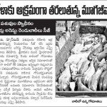 Cows illegally transported for slaughter, now at SPCA Kakinada.(AP, India): Illegal slaughter in India. Pictures © Animal Rescue Org. Kakinada. Used with permission by 'The Voice of Stray dogs' (www.strays.in)