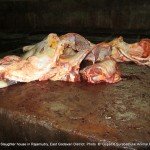 The product processed carelesly on the floor