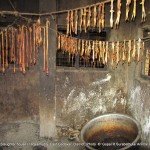 Animal fat preserved to prepare animal fat oil in the slaughter house 4