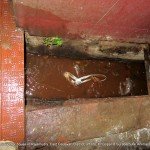 Leaving un treated wasing water mixed with blood in to the common drine without treating.2