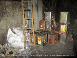 Tins with animal fat oil to supply smaller hotels to use in the preparation of food supply to the poor people