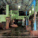 The selling point of meat processed in the slaughter house kept on the floor where the customers use to walk.