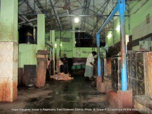 The selling point of meat processed in the slaughter house kept on the floor where the customers use to walk.