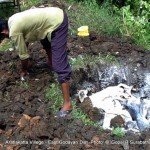 100+ dogs killed in East Godavary District