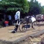 100+ dogs killed in East Godavary District